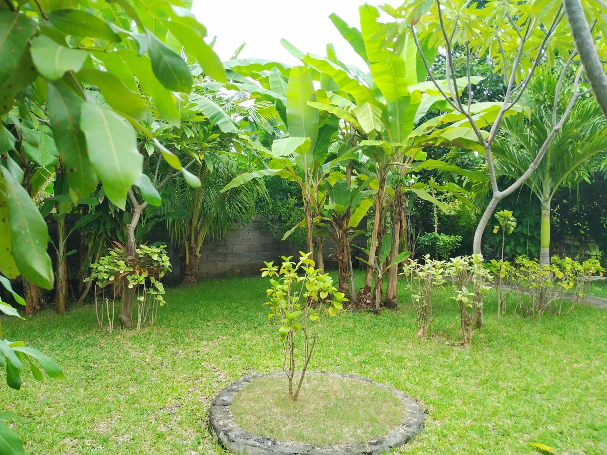 Asih Homestay Pemuteran  Exterior photo