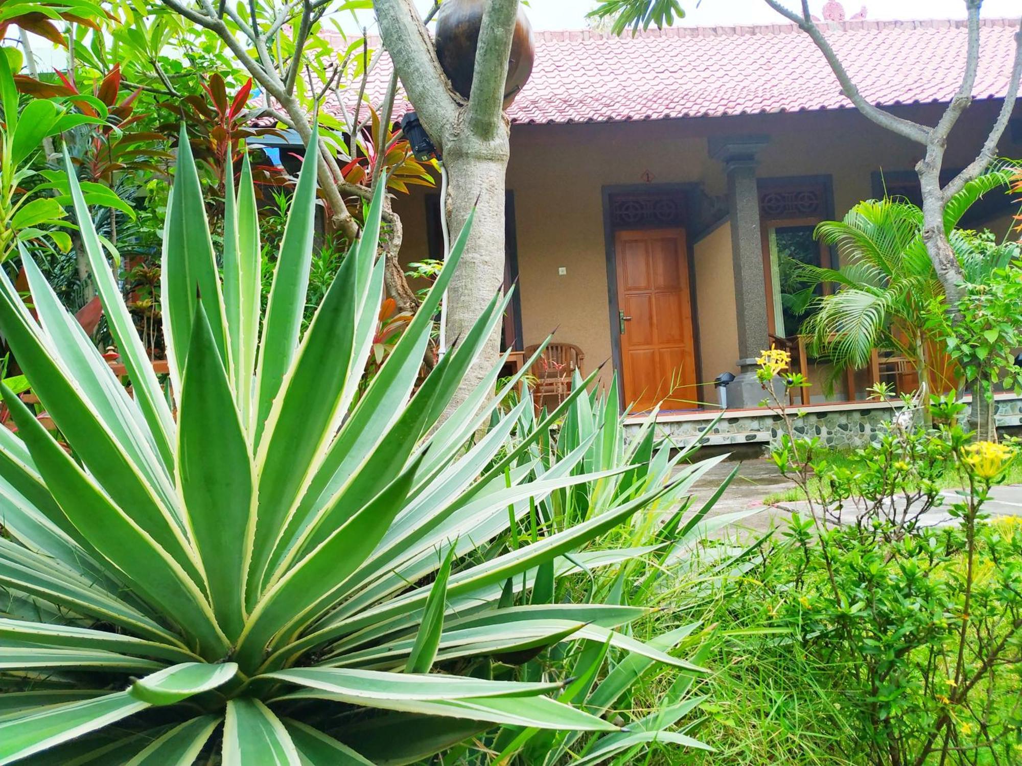 Asih Homestay Pemuteran  Exterior photo